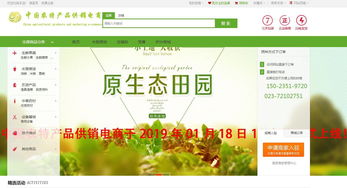 互聯(lián)網(wǎng)信息服務(wù)驅(qū)動下的農(nóng)特產(chǎn)品電商新模式探析